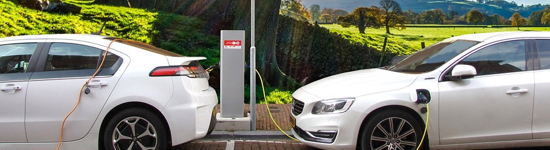 renewable fuels net zero