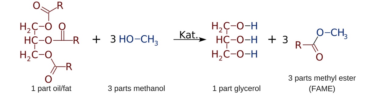 Fame Diesel Reaction Process