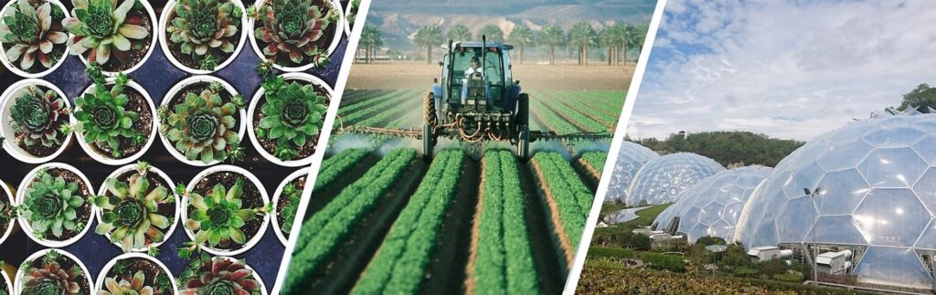 Nursery and Horticultural