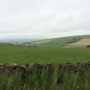 Picture of the countryside taken from inside the fuel tanker
