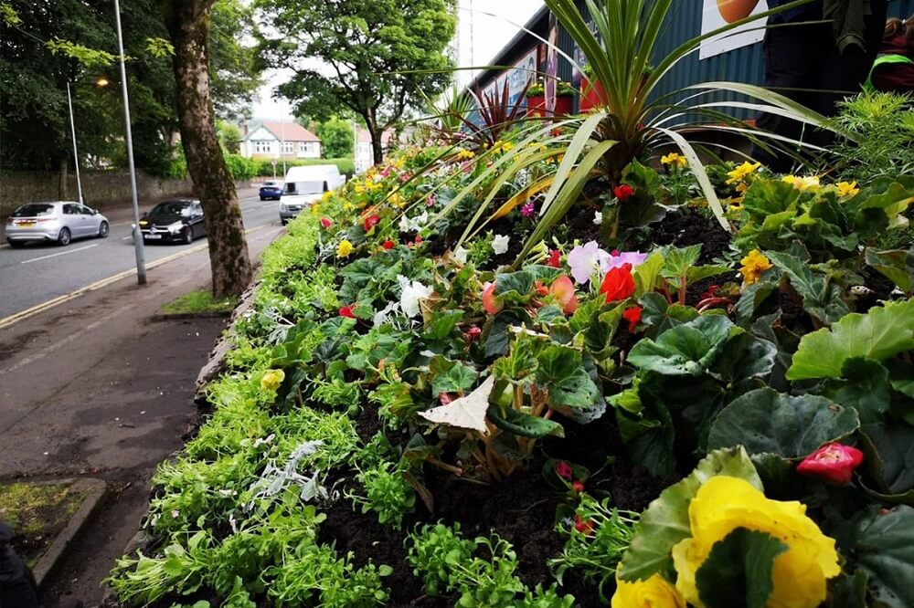 Rochdale in Bloom - Wonder Wall
