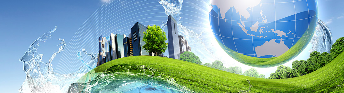 renewable fuels net zero